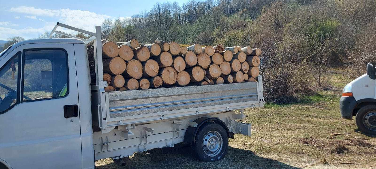 Vând lemne de foc la 320 lei metru esență tare