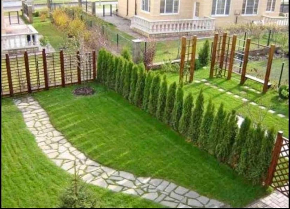 Plante ornamentale de diferite varietatii