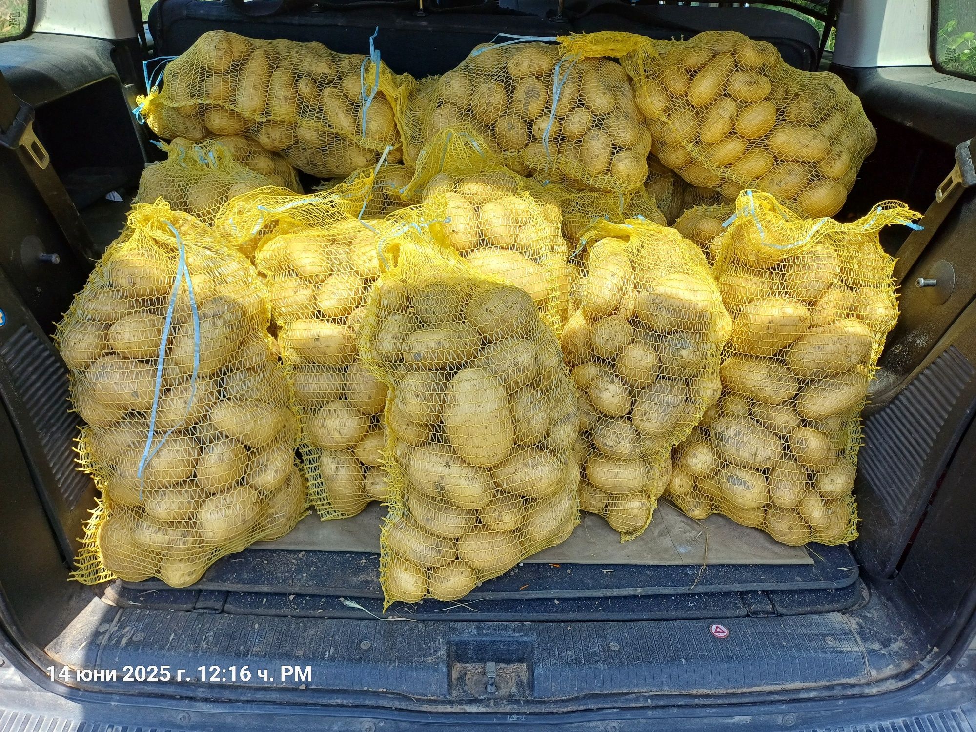 Продавам пресни картофи