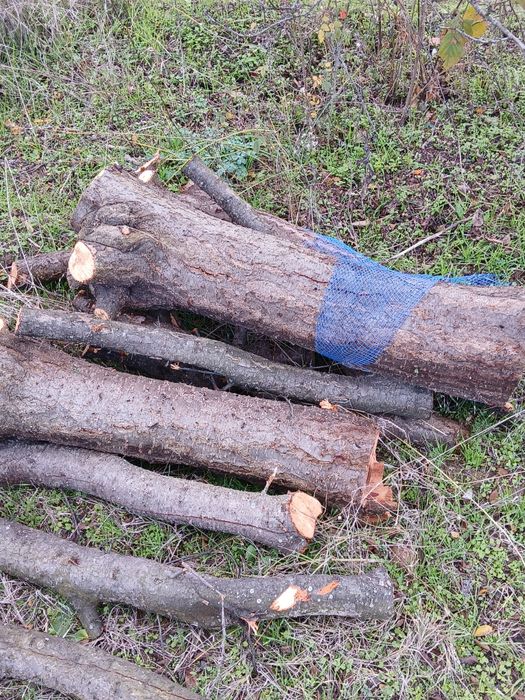 Дърва за огрев синя слива