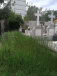 Vand Loc de veci cimitirul Capra sector 2