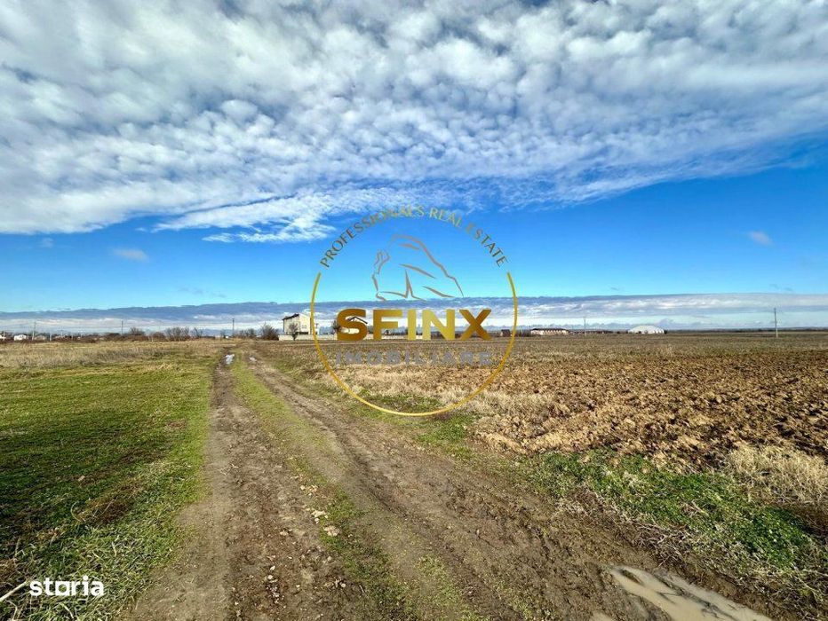 LOT de casa Tartasesti Primarie, teren cu potential