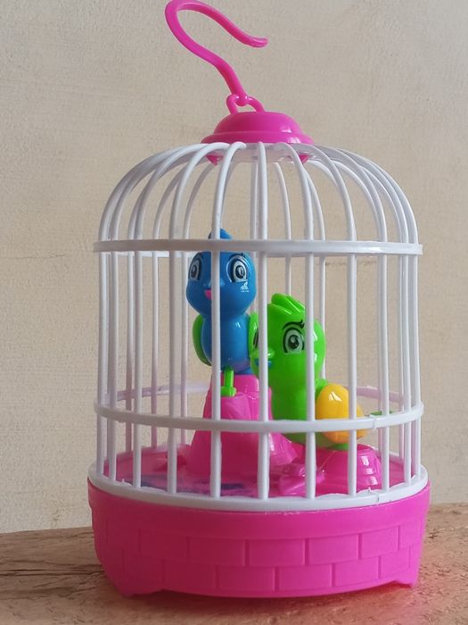 O'yinchoq Qushcha Sotiladi