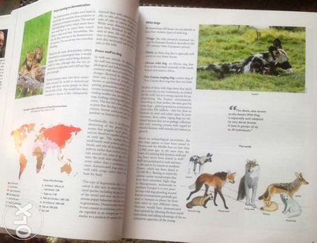 Enciclopedia canina in limba engleza