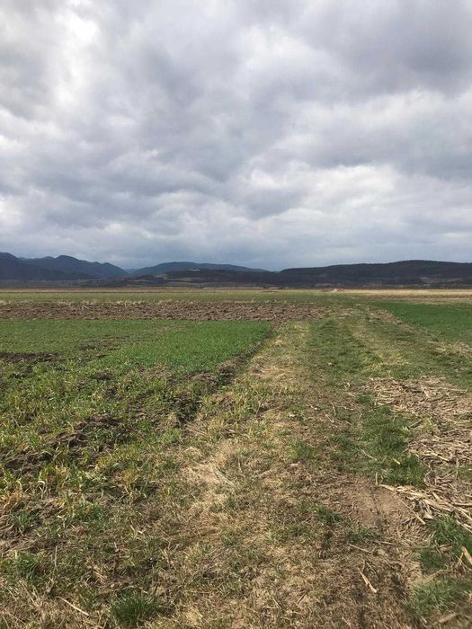 Teren agricol de vanzare in Comuna Cristian, jud. Sibiu