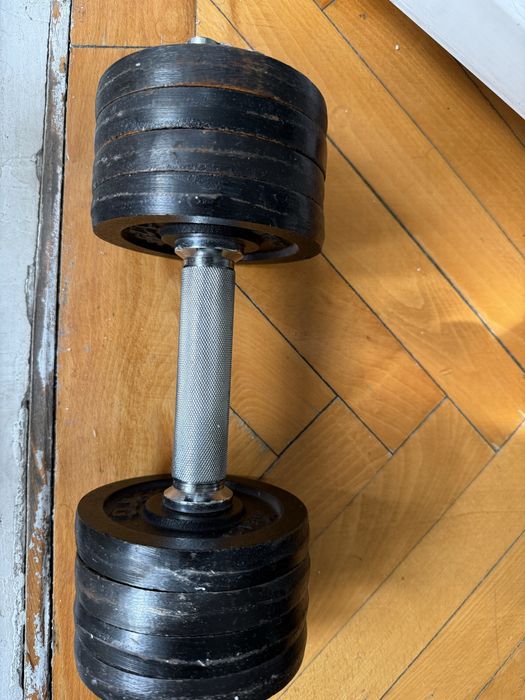 Gantera 10 kilograme