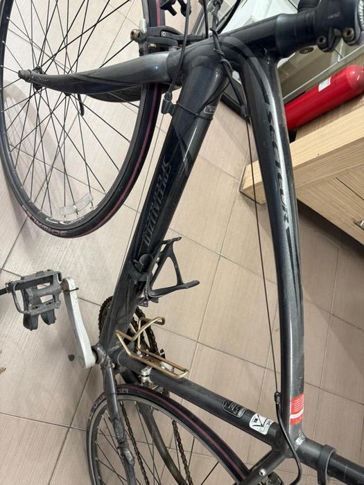 Semicursiera Specialized Secteur -T-