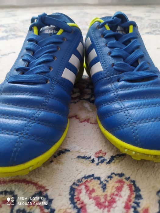 Сараканошки tegas