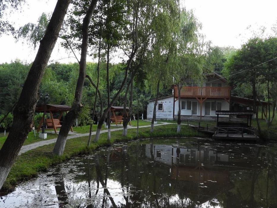 Oferta REVELION , Vila Lac Resort Cidrii Vlasinului, Vanatori -Ciucea