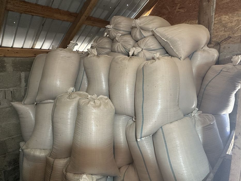 De vanzare grau 4 tone 0,85 bani kg