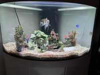Acvariu Juwel Trigon 190l