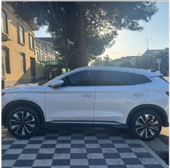 BYD Chempion 605 restayning