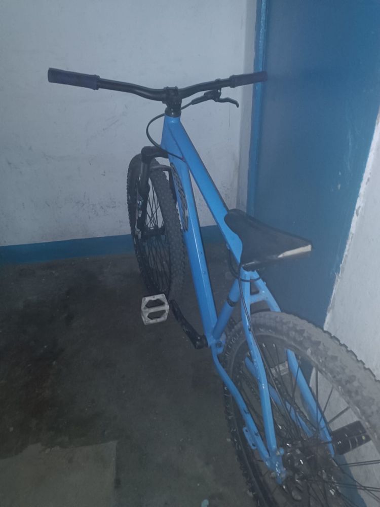 cruzer c300 mtb