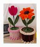 Mini flower pots