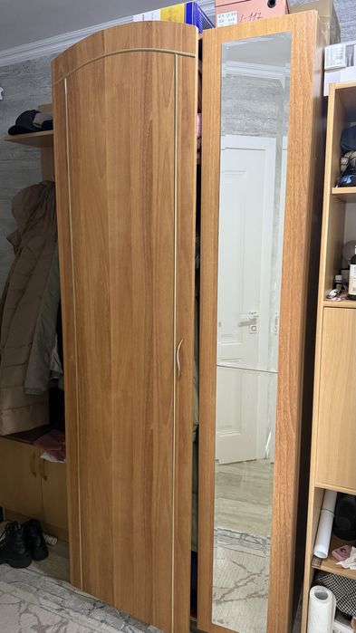 Шкаф для одежды с зеркалом