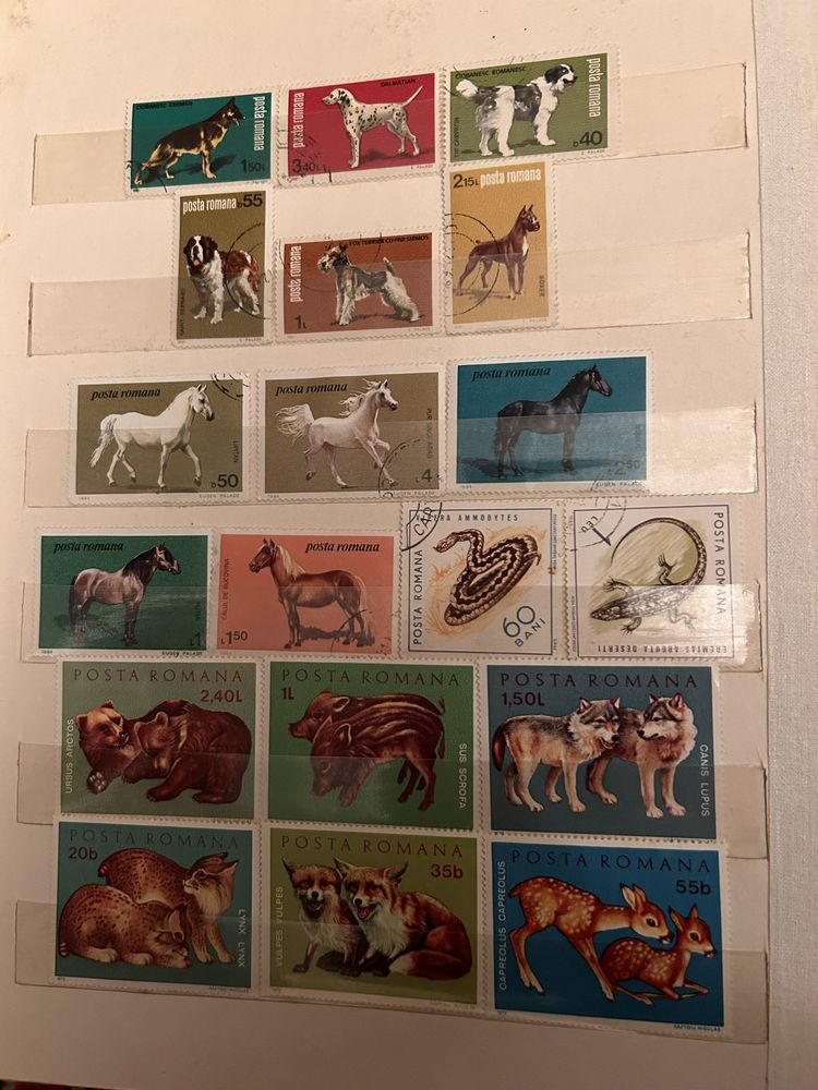 Vand timbre filatelice 2 clasoare vechi de 40 de ani