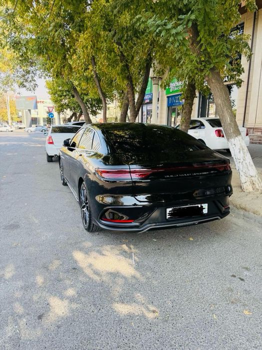 BYD HAN 605 Smart 2024 Қорага жигарранг