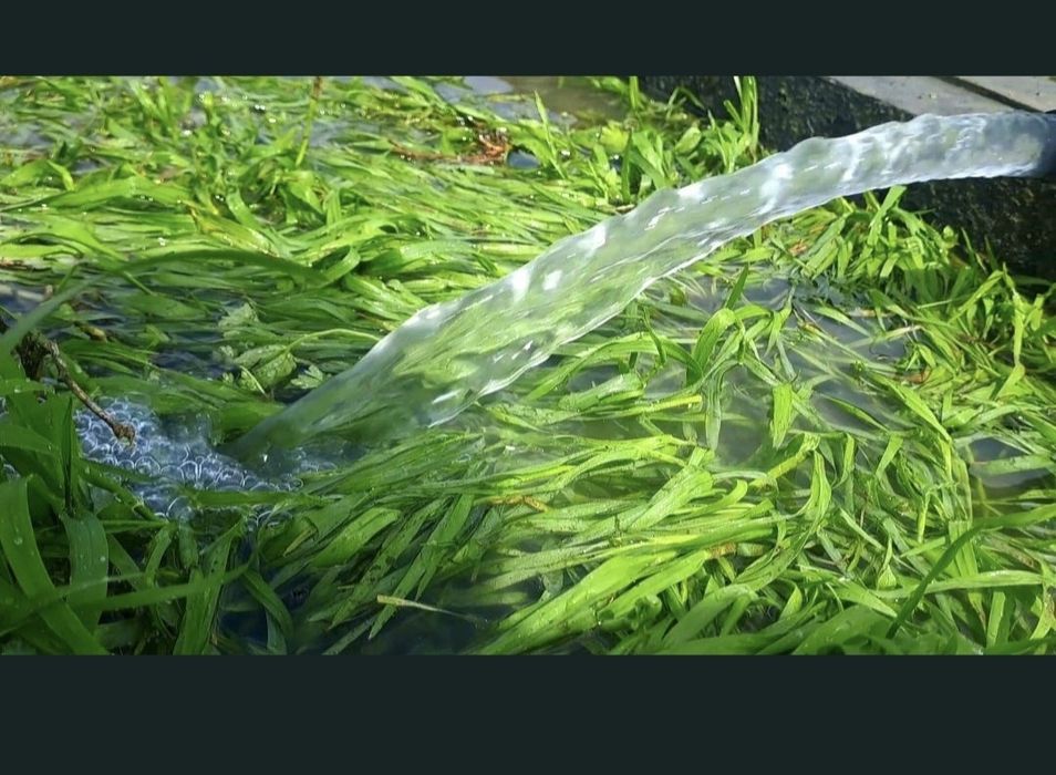 Cartografiere sol, cautare izvor