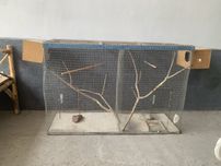Кафас сотилад холат зор