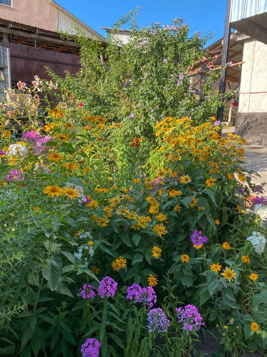 Продается  дом в поселке Бельбулак