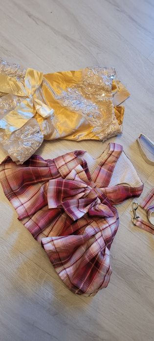 Haine catel Rochiță și zgarda