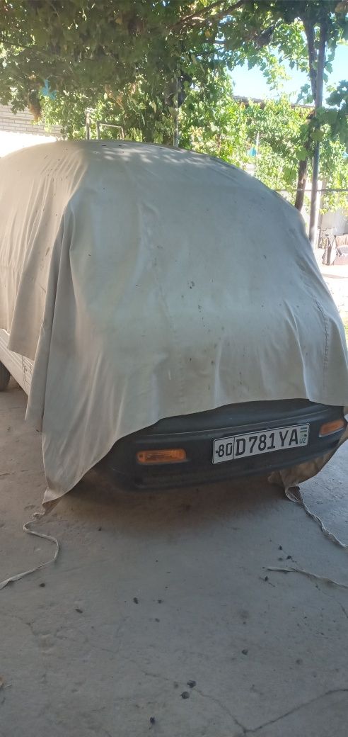 Дамас 2023 ноябр