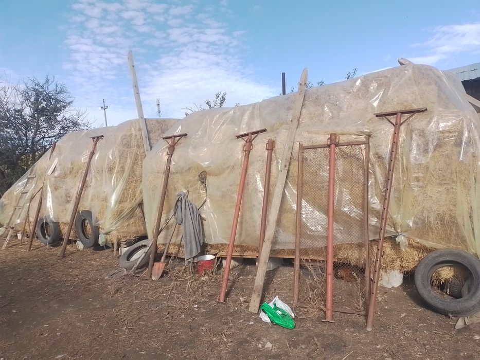 Vând baloti de lucerna!