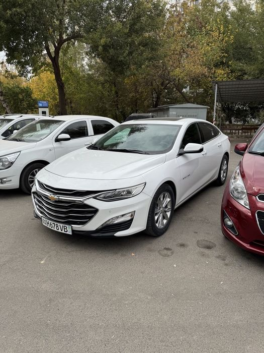 Malibu2 Premier 2021