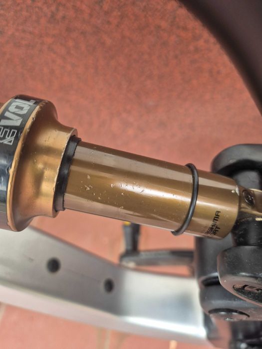 Canyon Spectral 10.0  29 er