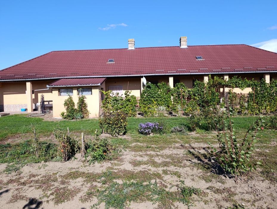 Casă de vânzare în comuna Petrești