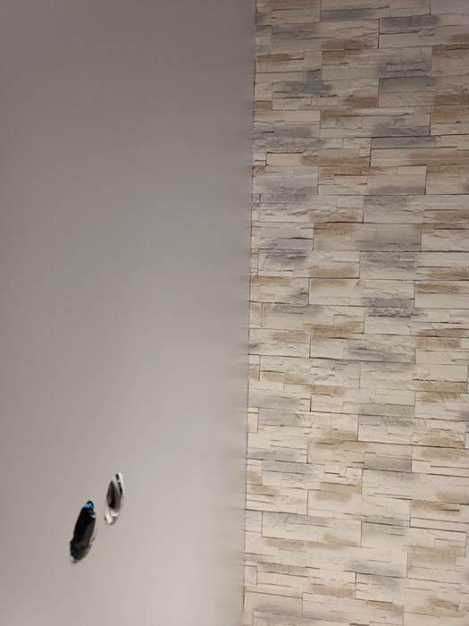 Шпакловка Професионална, Холандска , гипсокартон Кнауф, боя