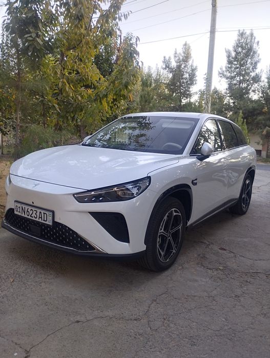 Нетта Эл   2024, 23300 $