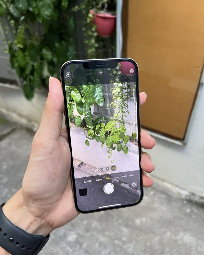 iPhone 12 Pro Max Nasiyaga Beriladi