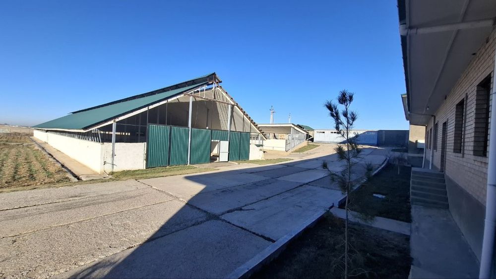 Майскида 7 гектарли ферма сотилади