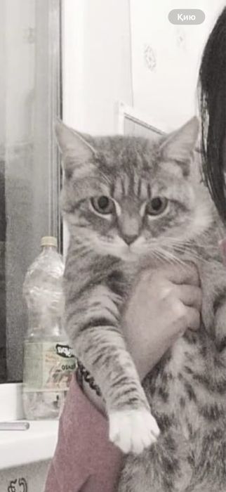 Севастопольская 20 жактан жогалып кетти