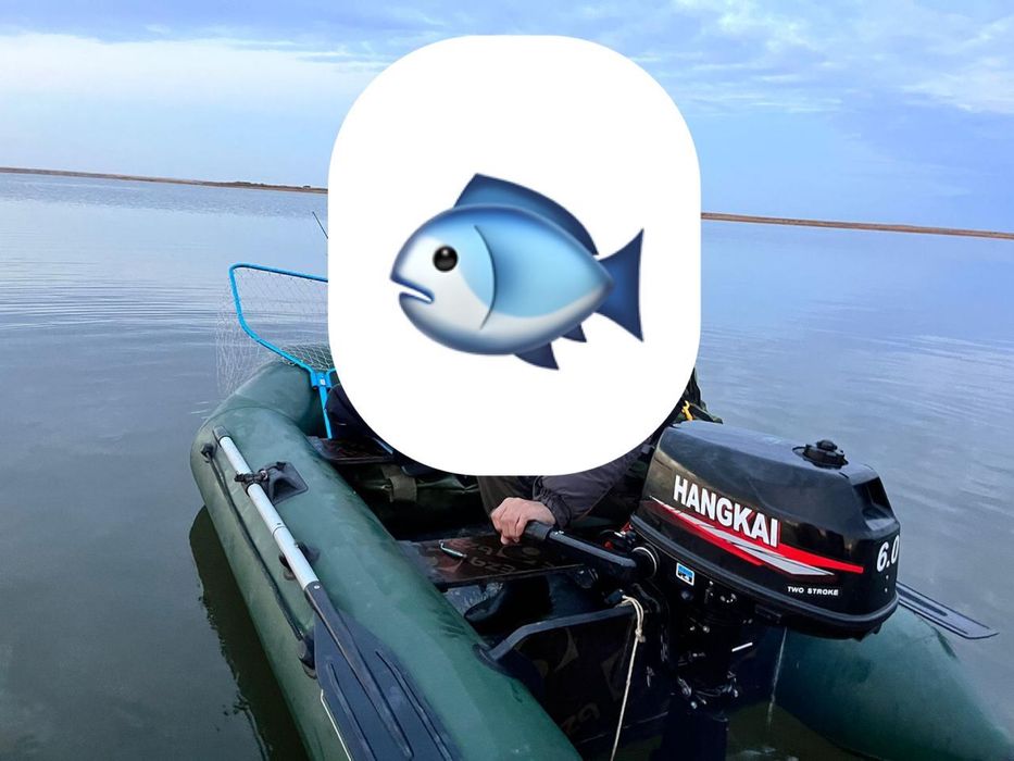 Обмен приветсвуется на эхолотЛодка аква 260