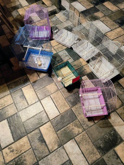 Vând Colivii 100,101,112,412