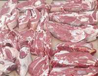 Продаём мясо говядины молодняк-Бузау етын сатамыз