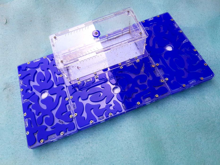 Формикарий, муравьиная ферма. Formikarium, chumolilar fermasi