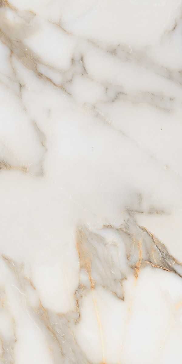 Gresie Alex Calacatta 60x120 Lucioasa