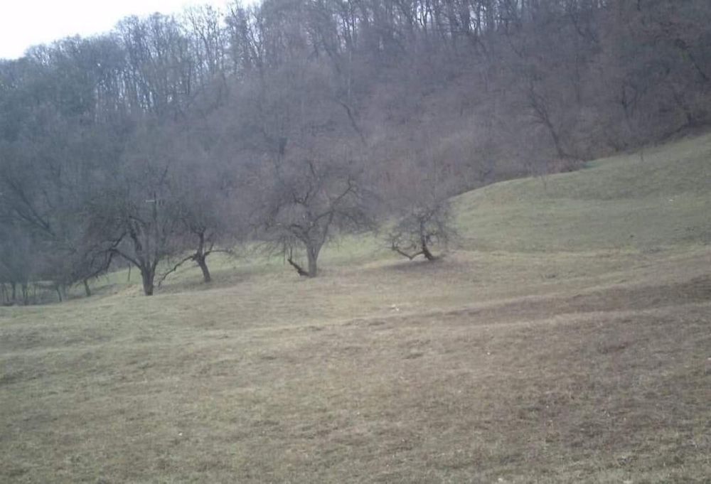 Teren intravilan periferia Sovata