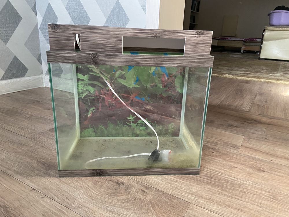 Продам аквариум для черепахи с фильтром