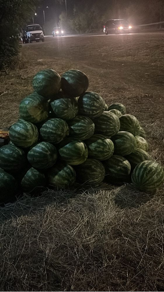 Арбуз местные Спелые