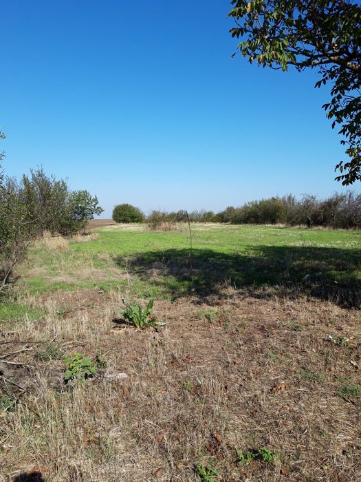 Parc fotovoltaic/Teren de casă/Hala sau spatiu de productie Vaceni