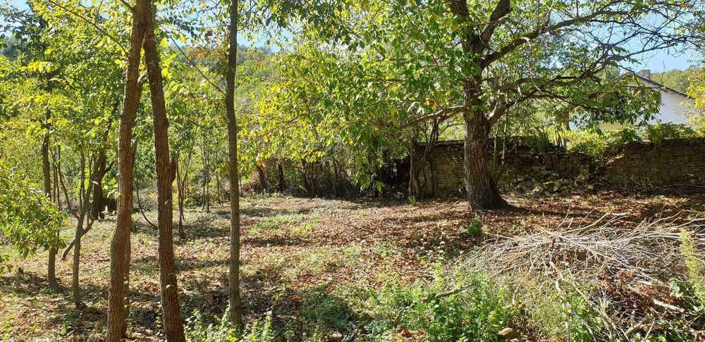 Продава се Парцел в с. Лесичарка, Област Габрово - 850 кв.м за 17 €/кв.м - Снимка #5