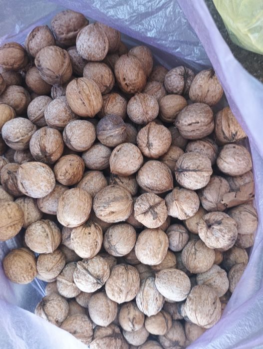 Продаётся домашние орехи