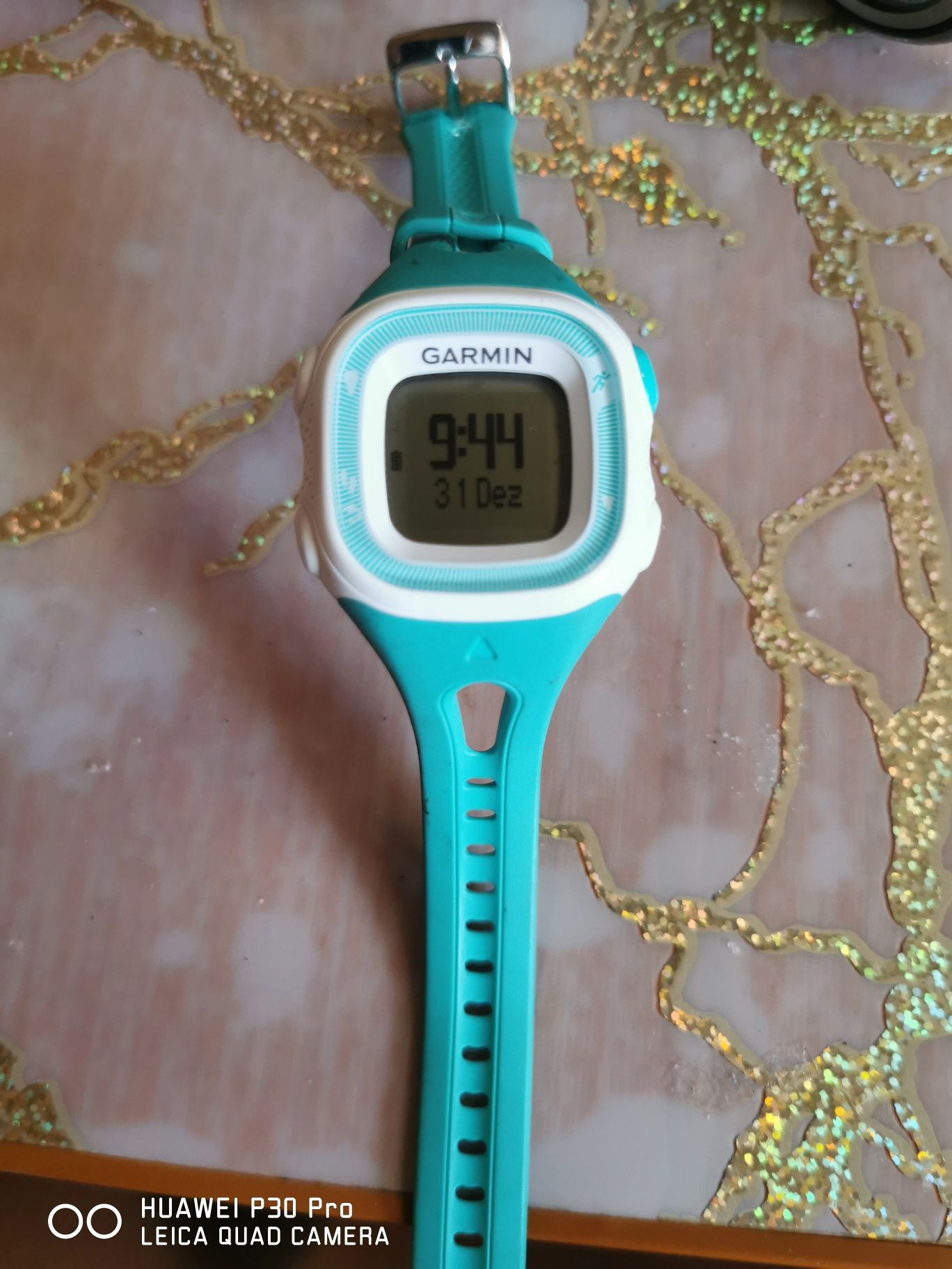 Garmin Forerunner 15