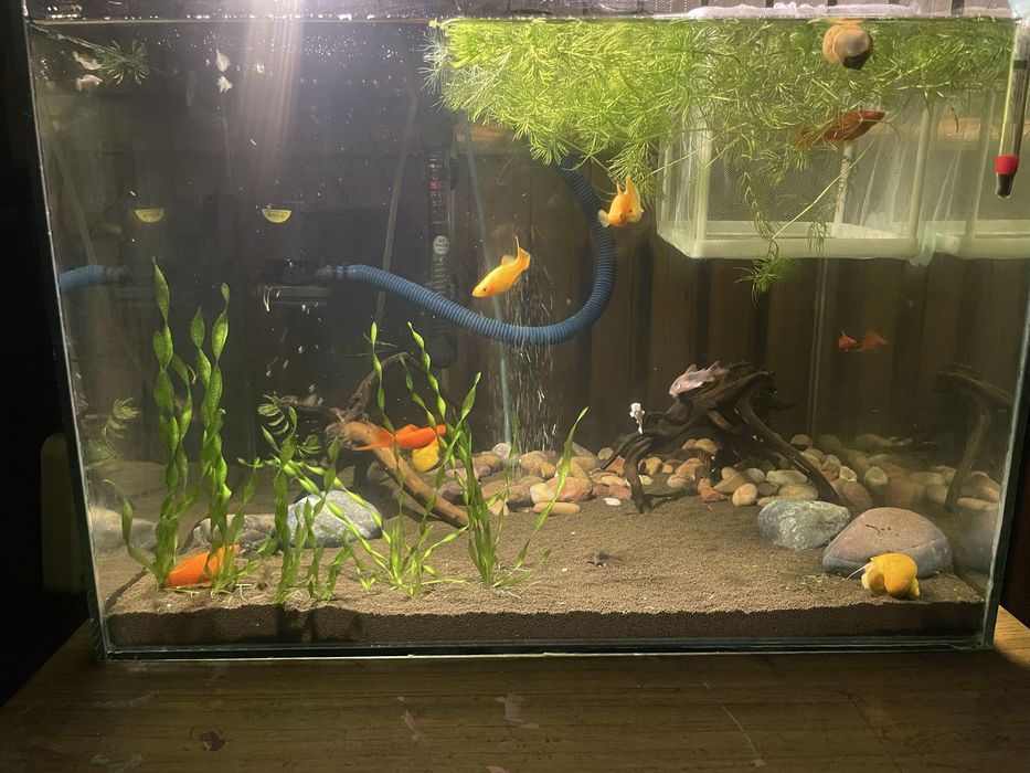 Аквариум комплект