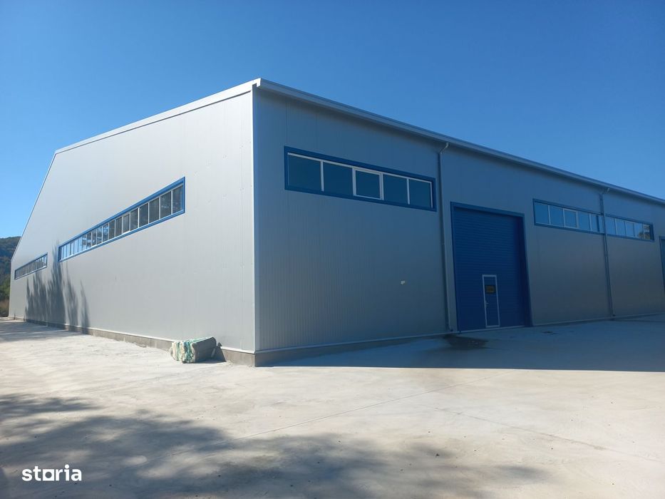 Hala depozitare sau productie 10000 mp