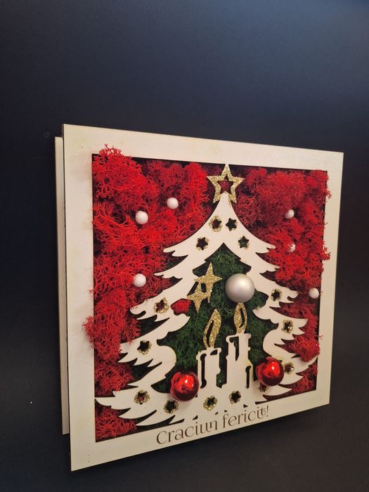 Tablou Craciun, cu lichenj handmade